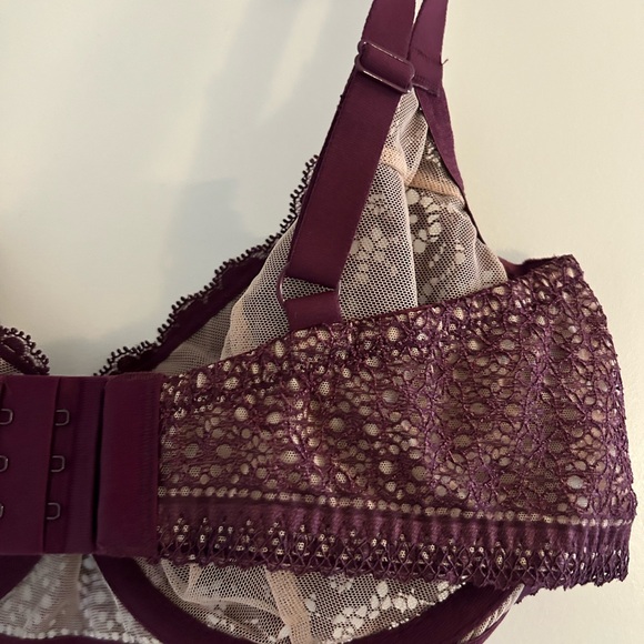 REVEAL LINGERIE • Burgundy & Cream Laced Bra • 36DD • - Picture 5 of 9